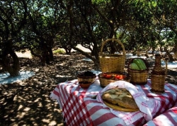 images/chios mesta lunch.jpg